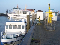 Bild 1 von Der Mast der 