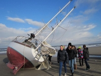 Bild 0 von 