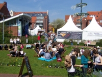 Bild 0 von Musikfestival in diesem Jahr bei Traumwetter