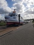 Bild 0 von „Wappen von Juist“ kam in Greetsiel aus dem Wasser