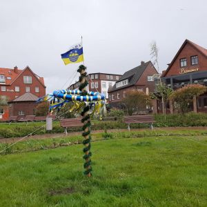 Bild 0 von Und der Maibaum steht doch auf dem Juister Kurplatz!!