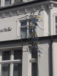 Bild 3 von Weitere Bilder mit Juister Maischmuck