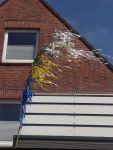 Bild 4 von Weitere Bilder mit Juister Maischmuck