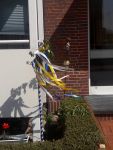 Bild 5 von Weitere Bilder mit Juister Maischmuck