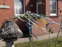 Bild 6 von Weitere Bilder mit Juister Maischmuck