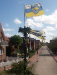 Bild 8 von Weitere Bilder mit Juister Maischmuck