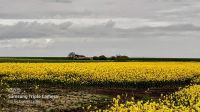 Bild 0 von Corona-Zahlen vom und im Landkreis Aurich