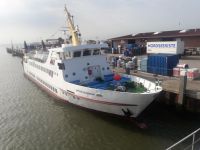 Bild 0 von Seltener Gast am Samstag im Juister Hafen
