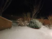 Bild 2 von Endlich fiel auf Juist mal wieder Schnee