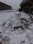 Bild 5 von Endlich fiel auf Juist mal wieder Schnee