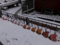 Bild 6 von Endlich fiel auf Juist mal wieder Schnee