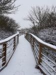 Bild 1 von Noch mehr „Juist im Schnee“
