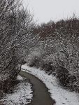 Bild 4 von Noch mehr „Juist im Schnee“