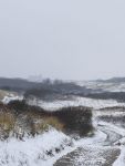 Bild 5 von Noch mehr „Juist im Schnee“