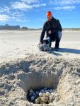 Bild 0 von Naturschützer rufen zur Schildkrötenhilfe am Strand auf