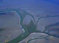 Bild 4 von Juister Wattenmeer obliegt weiterhin starken Veränderungen