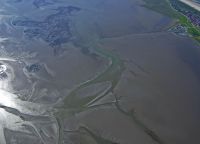 Bild 5 von Juister Wattenmeer obliegt weiterhin starken Veränderungen