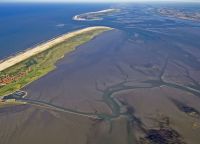 Bild 6 von Juister Wattenmeer obliegt weiterhin starken Veränderungen