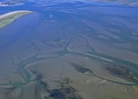 Bild 7 von Juister Wattenmeer obliegt weiterhin starken Veränderungen