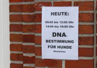 Bild 0 von Heute kann die DNA von Hunden festgestellt werden