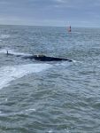 Bild 0 von Segler kamen zwischen Juist und Norderney in Lebensgefahr