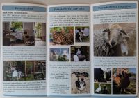 Bild 5 von Auch von Juist aus wird die „Aktive Tierhilfe e V“ jetzt unterstützt