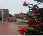 Bild 3 von Auch zu diesem Advent wurde im Loog wieder gebastelt