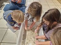 Bild 6 von Projektwoche „Vom Korn zum Brot“ von Kinner un Lü