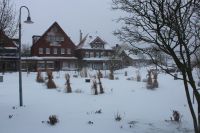 Bild 2 von JNN-Fototour: Unterwegs auf Juist im Schneesturm - Teil 2