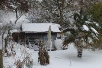 Bild 7 von JNN-Fototour: Unterwegs auf Juist im Schneesturm - Teil 2
