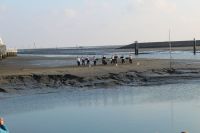 Bild 4 von Neben der Witterung ist auch der Juister Hafen ein Problem