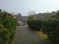 Bild 1 von Winterzeit ist Bauzeit: Erneuerung der Heckenanlage am Friedhof