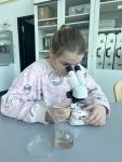 Bild 7 von Schülerschaft der Inselschule Juist in Aurich